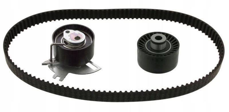 Zestaw rozrządu - INA 530 0691 10