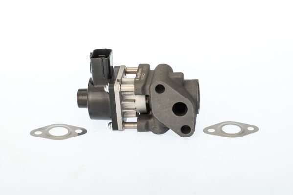 Zawór egr - BorgWarner WA711024D