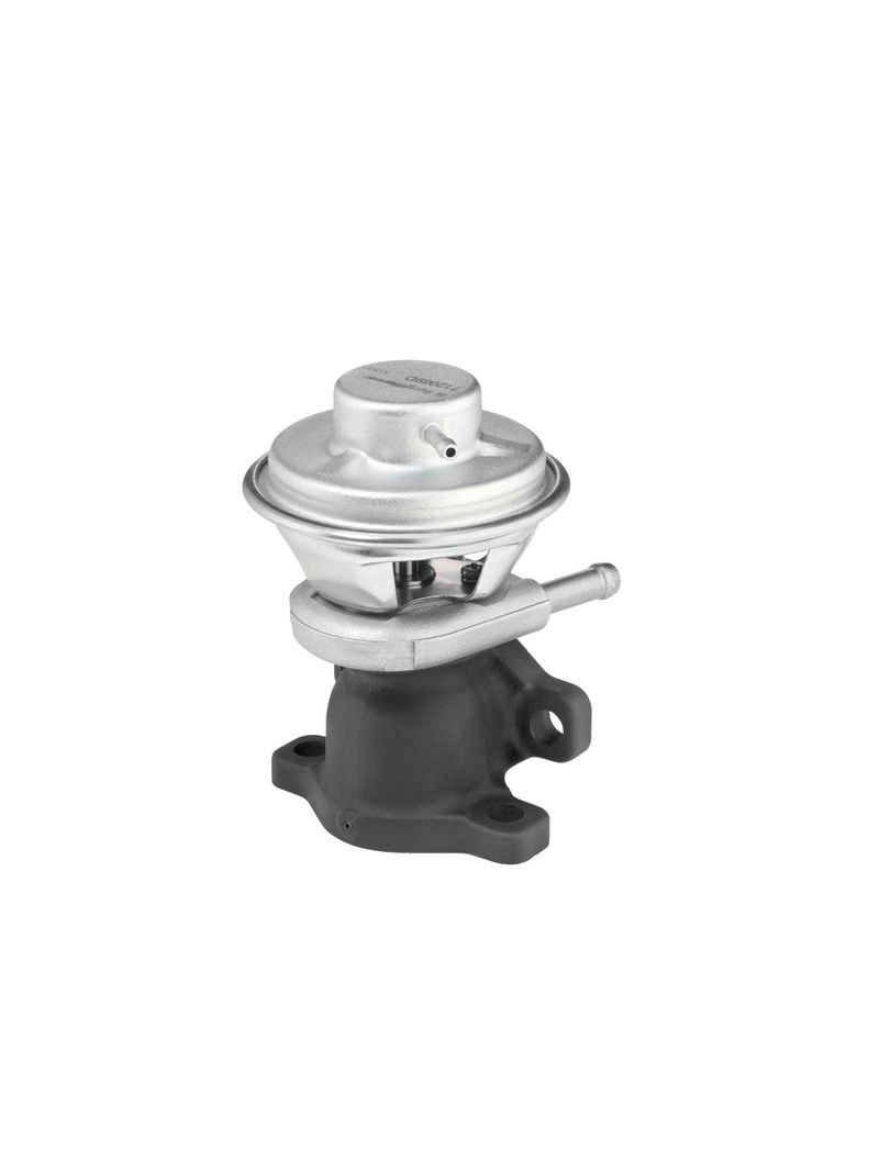 Zawór egr - BorgWarner WA712069D