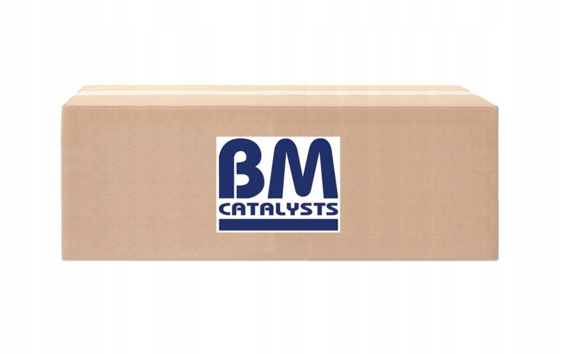 Filtr cząstek stałych - BM CATALYSTS BM31041H