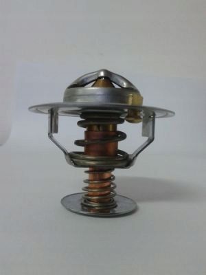 Termostat cieczy chłodzącej - THERMOTEC D2CA002TT