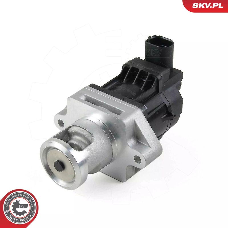Zawór EGR - SKV ESEN 14SKV296
