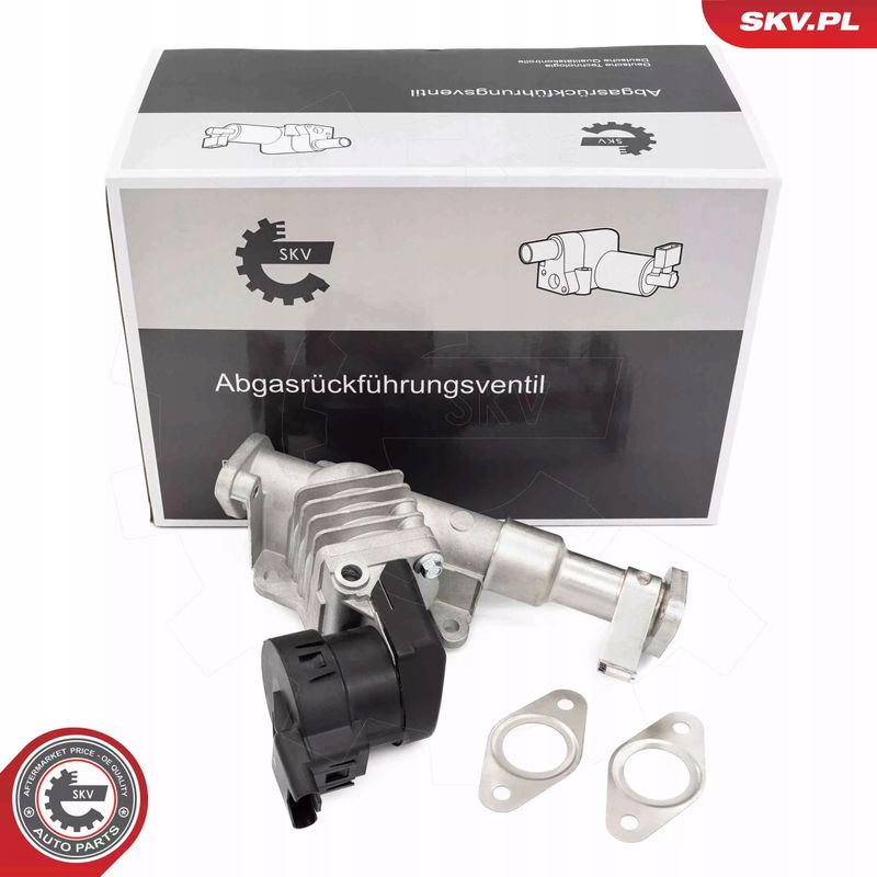 Zawór EGR - SKV ESEN 14SKV287