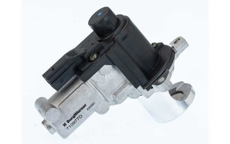 Zawór egr - BorgWarner WA710977D