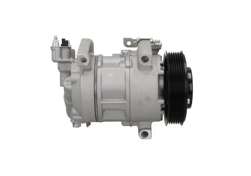 Kompresor klimatyzacji psa - BV PSH 090.225.004.050