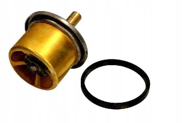 Termostat cieczy chłodzącej - THERMOTEC D2DA004TT