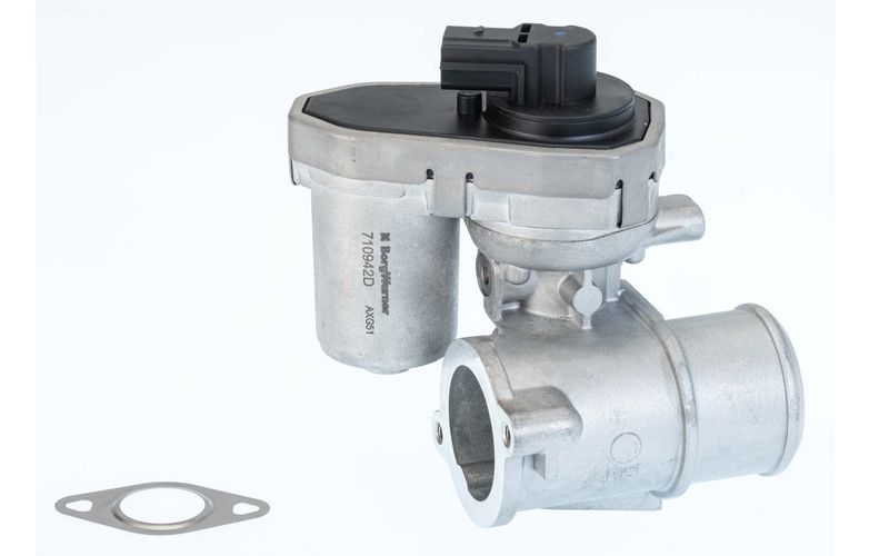 Zawór egr - BorgWarner WA710942D