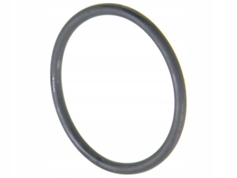 Oring skrzyni biegów - EURORICAMBI 95532569
