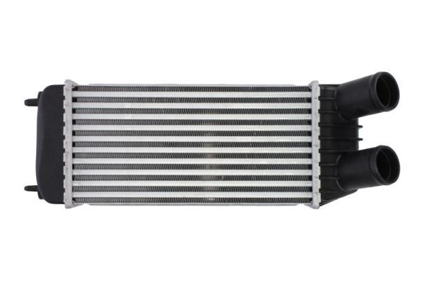 Chłodnica powietrza dolotowego - THERMOTEC DAP006TT
