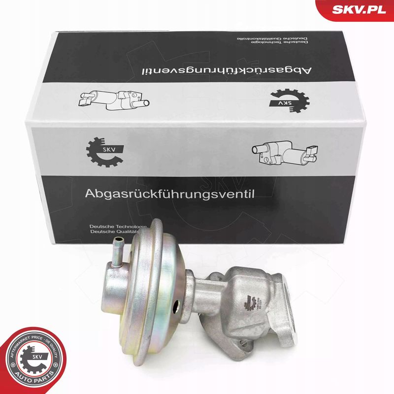 Zawór EGR - SKV ESEN 14SKV258