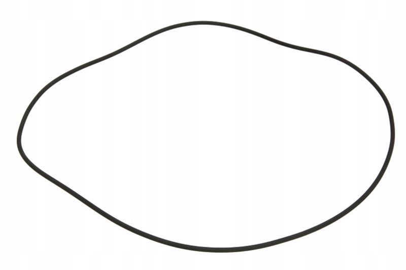Uszczelniacz piasty - CARRARO 28575-CR