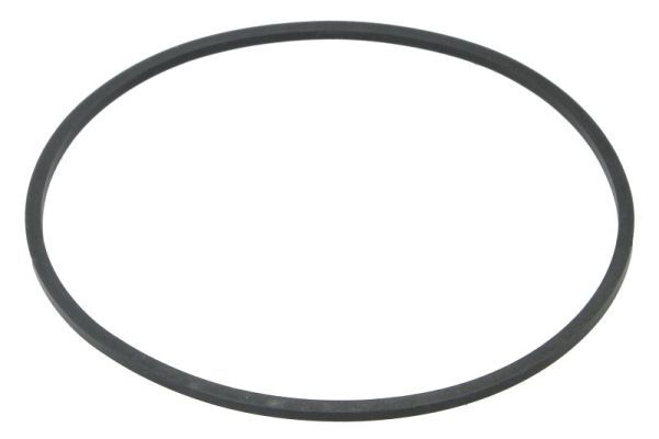 Uszczelniacz piasty - BTA B06-2235