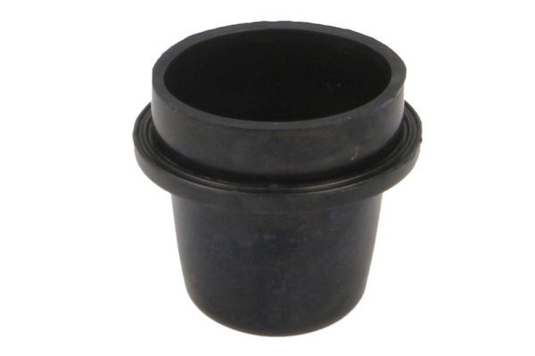 Zestaw naprawczy pompy hamulcowej - SBP 12-AG044