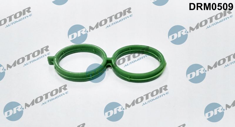 Uszczelka ford focus 1,8 96- - ASTA DRM0509