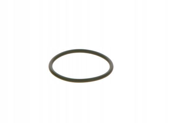 Oring pompy cr - BOSCH F 00R 0P0 166
