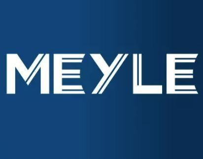 Czujnik abs - MEYLE 31-14 899 0018