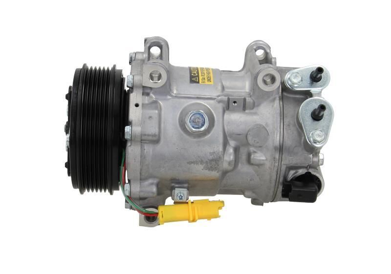 Kompresor klimatyzacji psa - BV PSH 090.225.044.876