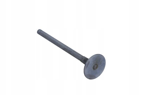 Zawór ss. opel 1,7 dti corsa - FRECCIA R6136/RNT