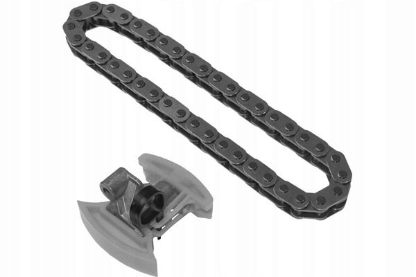 Zestaw łańcucha rozrządu - INA 559 0106 10