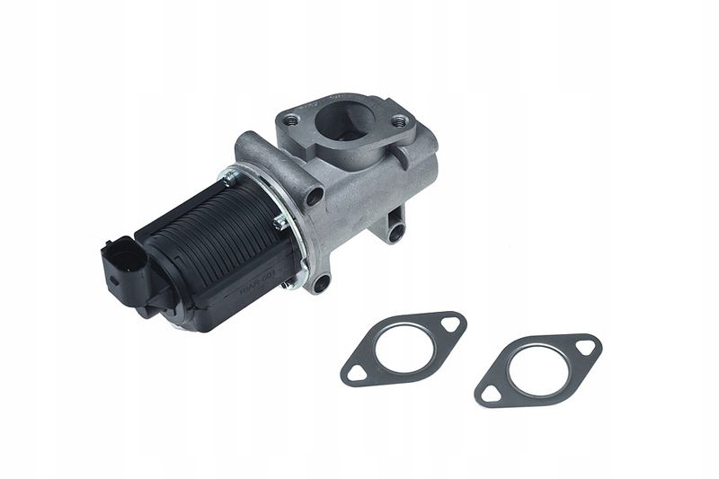 Zawór egr - NTY EGR-AR-001
