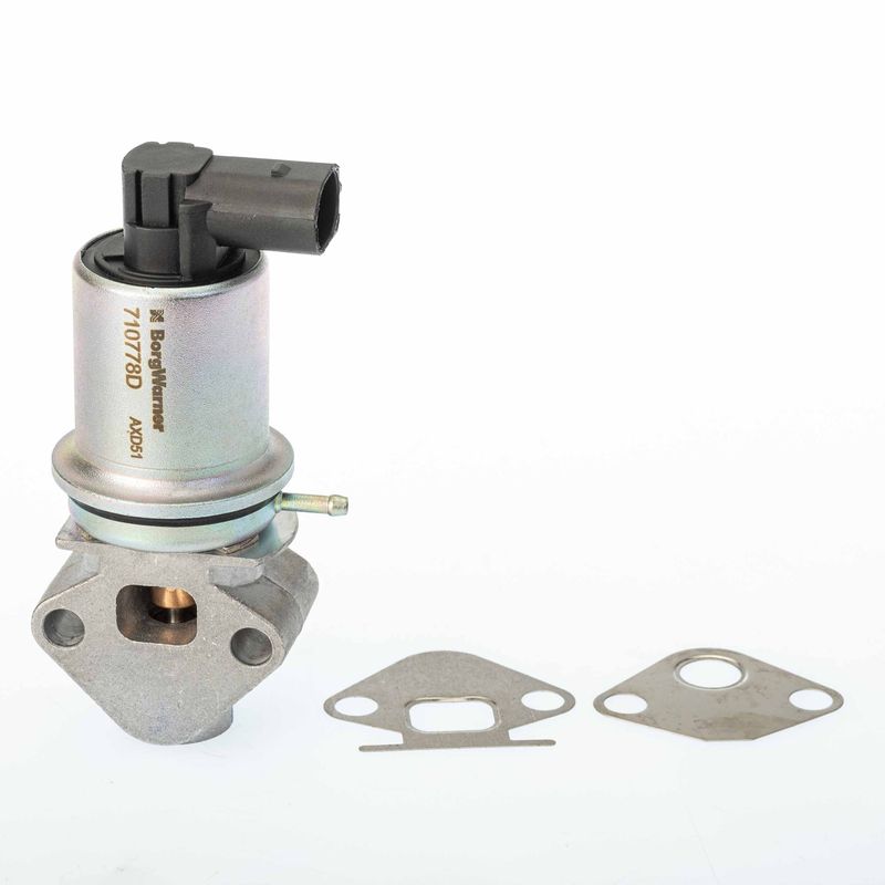 Zawór egr - BorgWarner WA710778D