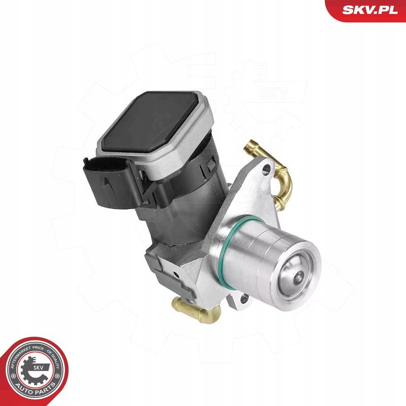 Zawór EGR - SKV ESEN 14SKV303