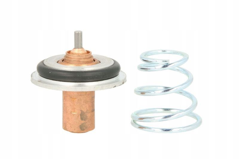 Termostat cieczy chłodzącej - THERMOTEC D2R002TT