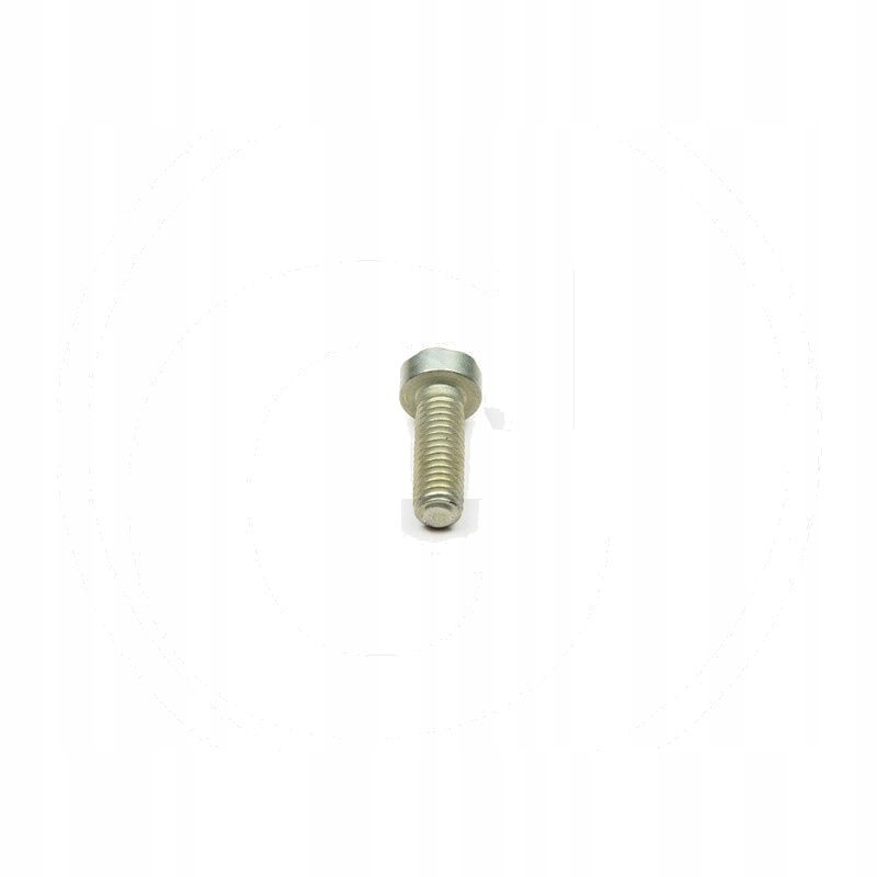 Śruba pompy wtr. - BOSCH F 002 D12 606