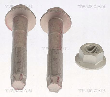 Zestaw Śrub zawieszenia lexus ct200h zwa10 2010.12- t… - TRISCAN 8500 13401
