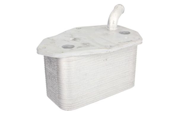 Chłodnica oleju - THERMOTEC D4V009TT