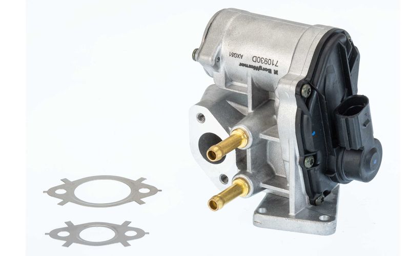 Zawór egr - BorgWarner WA710930D
