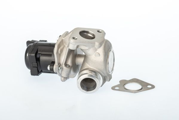 Zawór egr - BorgWarner WA711021D