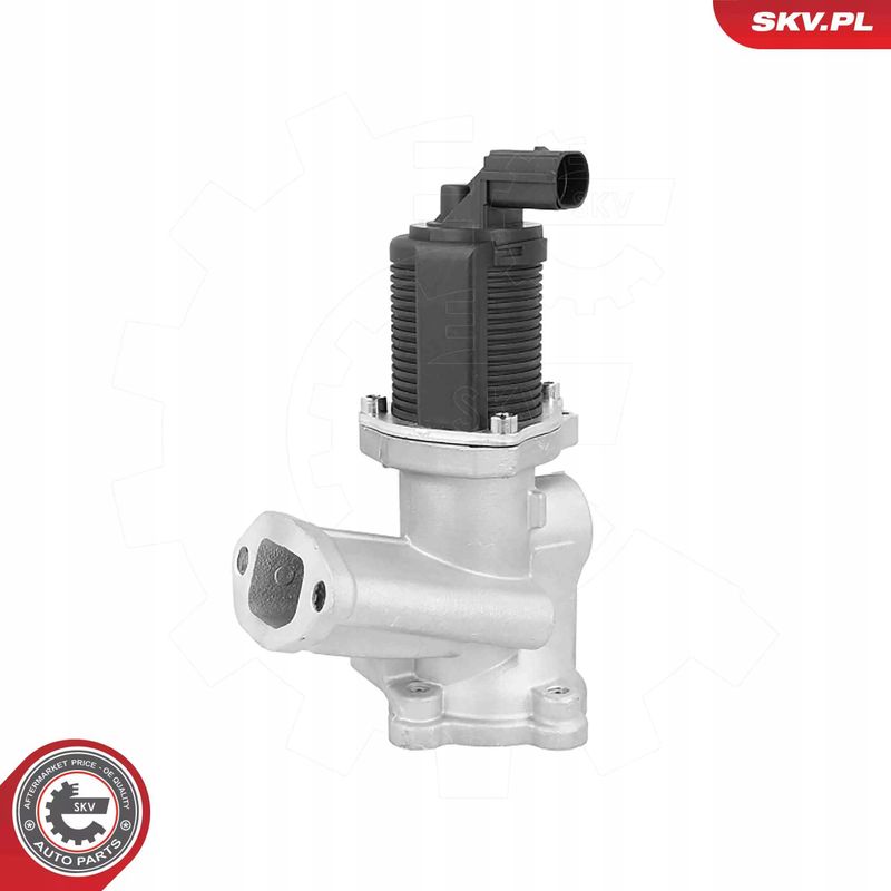 Zawór EGR - SKV ESEN 14SKV314